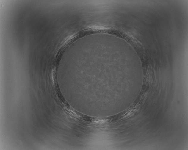 X0000062791157200512290215