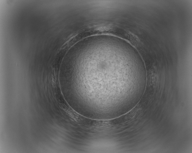 X0000062791158200512290215