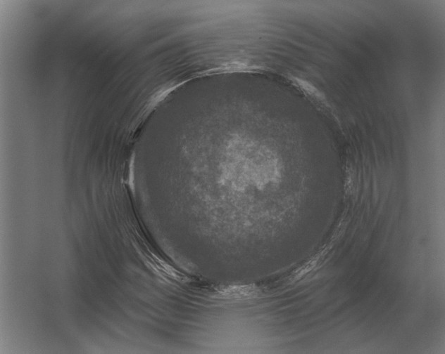 X0000062791161200512290215