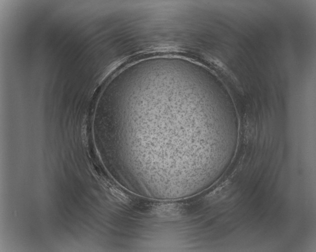 X0000062791162200512290215