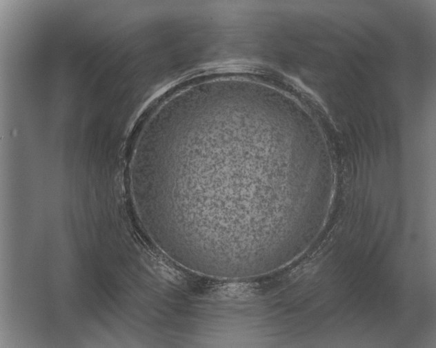 X0000062791166200512290215