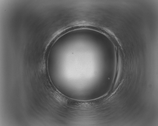 X0000062791167200512290215