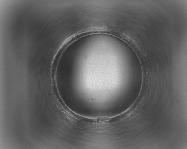 X0000062791168200512290215