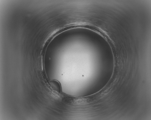 X0000062791171200512290215