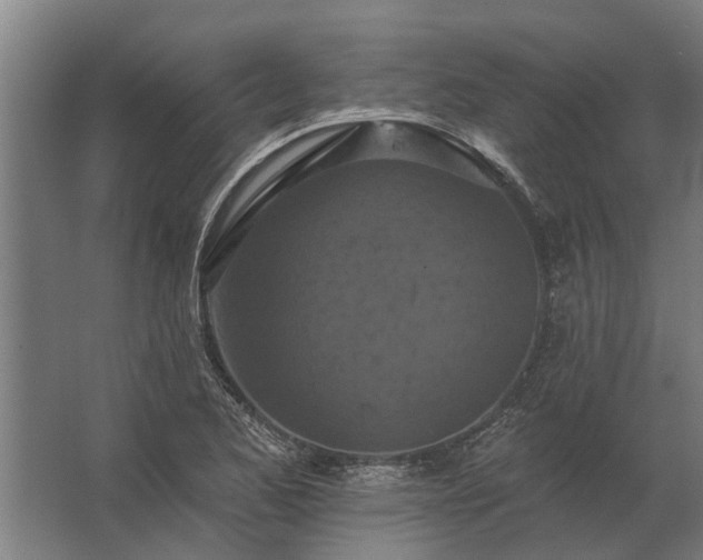 X0000062791173200512290215