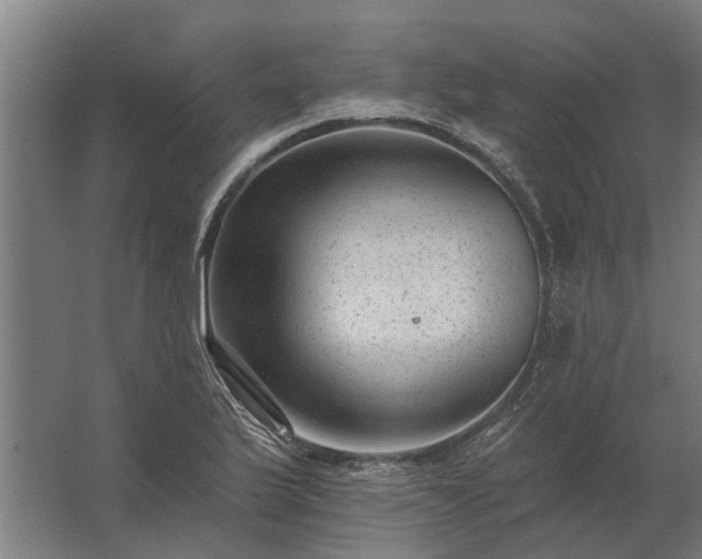 X0000062791175200512290215