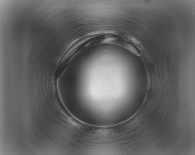 X0000062791177200512290215