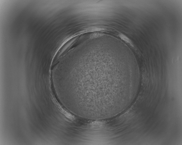 X0000062791178200512290215