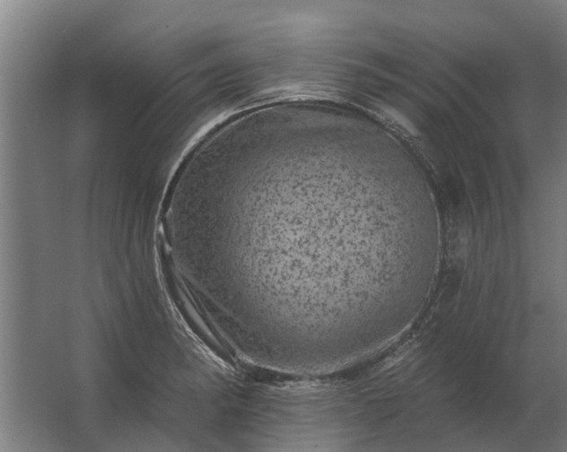 X0000062791182200512290215