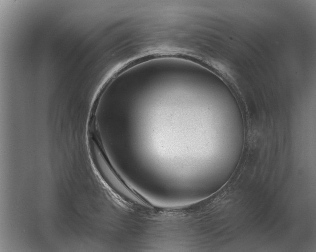 X0000062791183200512290215