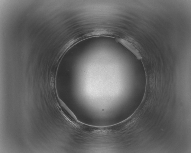 X0000062791185200512290215