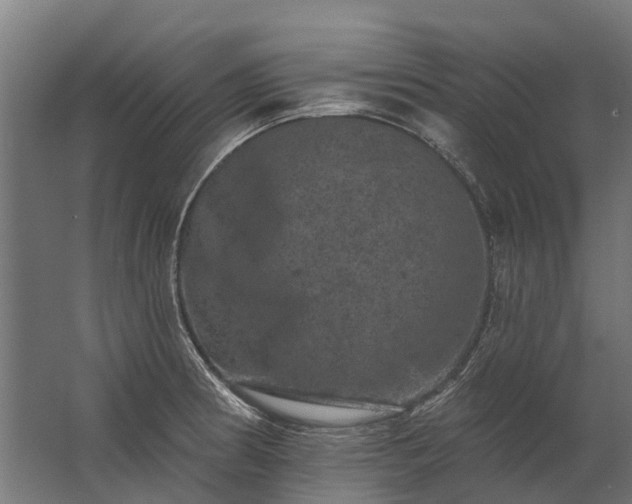 X0000062791186200512290215