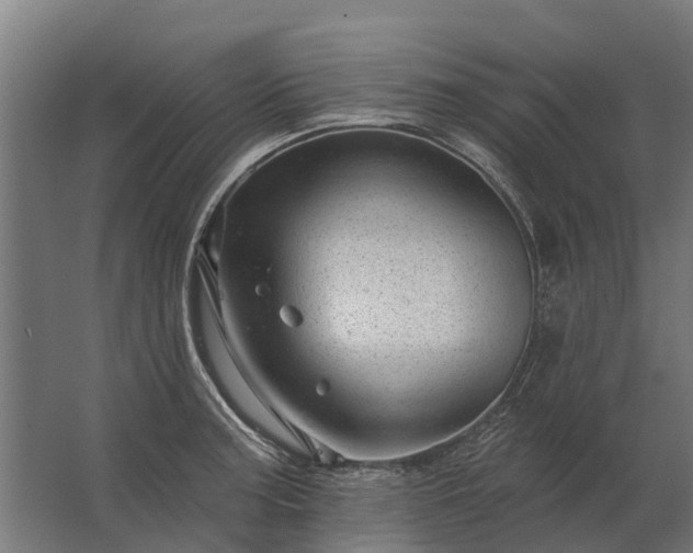 X0000062791187200512290215