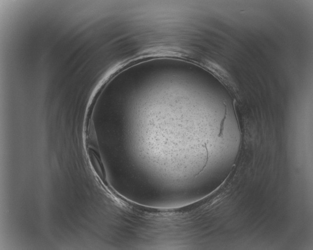 X0000062791188200512290215