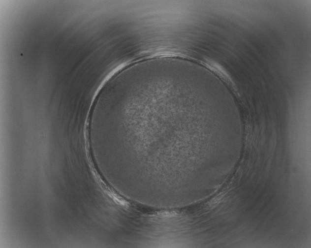 X0000062791190200512290214