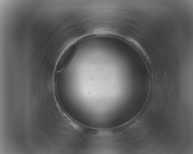 X0000062791191200512290214