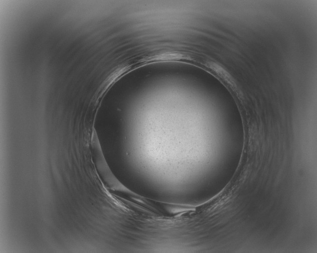 X0000062791193200512290214