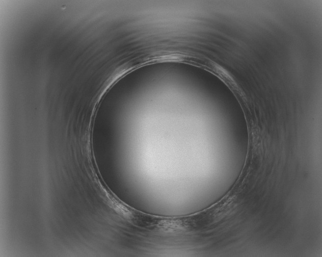 X0000062791194200512290214