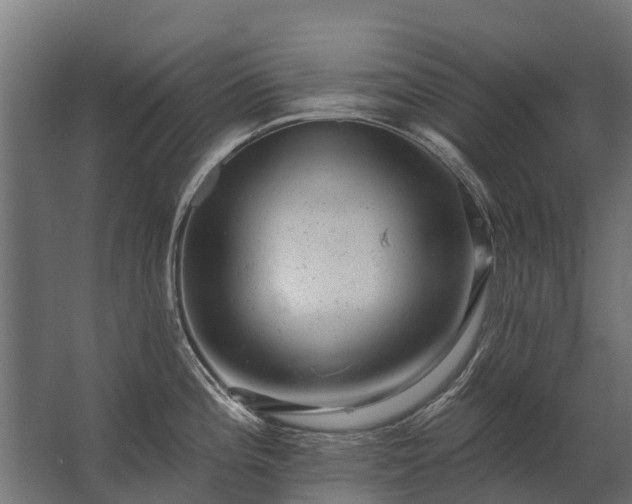 X0000062791196200512290214