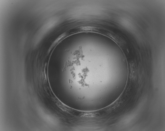 X0000062791198200512290214