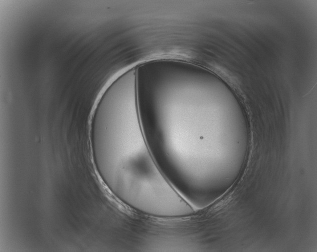 X0000062791200200512290214