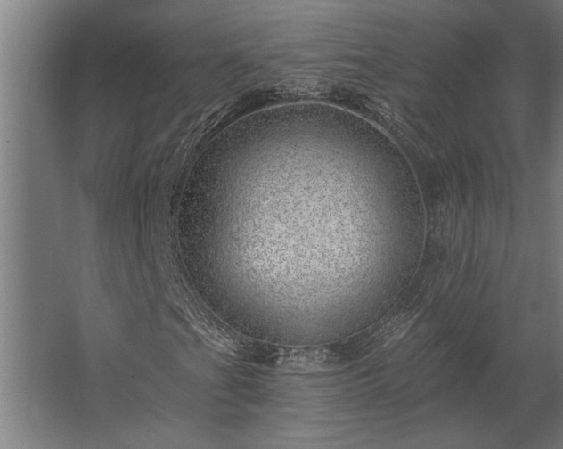 X0000062791201200512290213