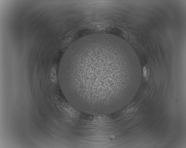 X0000062791203200512290214