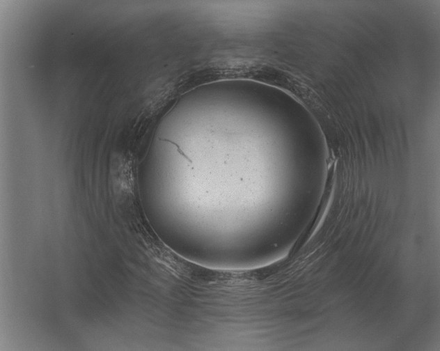 X0000062791204200512290214