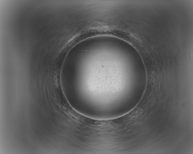 X0000062791205200512290214