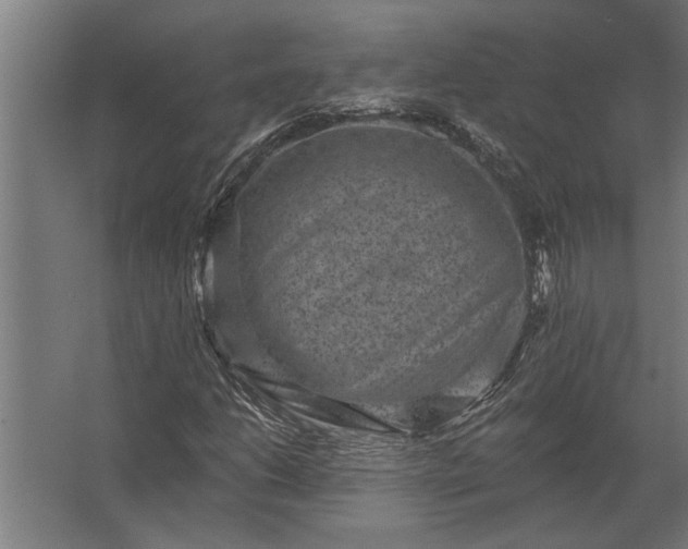 X0000062791206200512290214