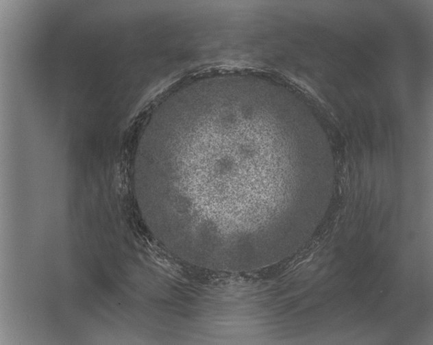 X0000062791207200512290214