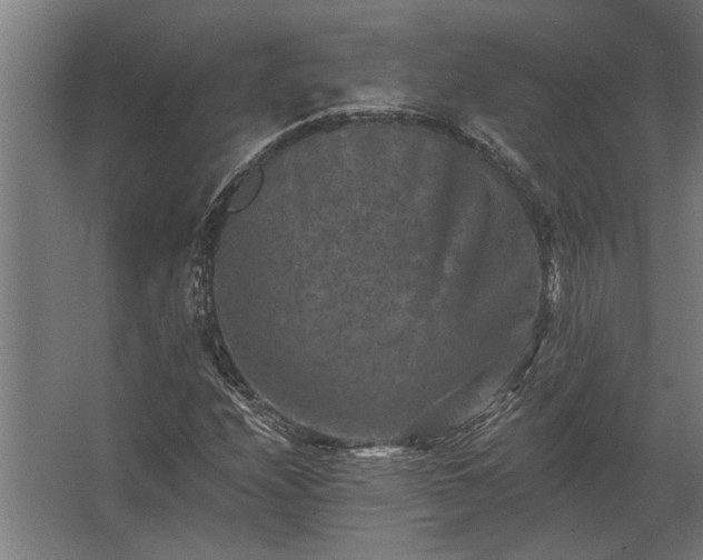 X0000062791208200512290214