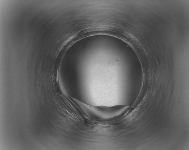 X0000062791210200512290214