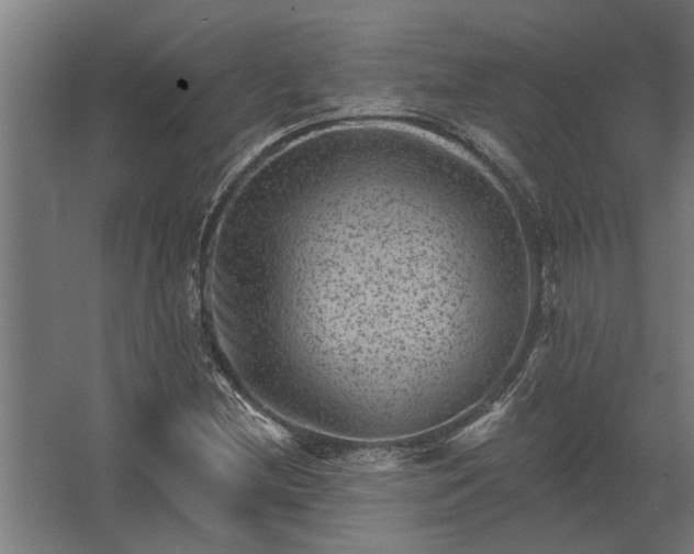 X0000062791212200512290214