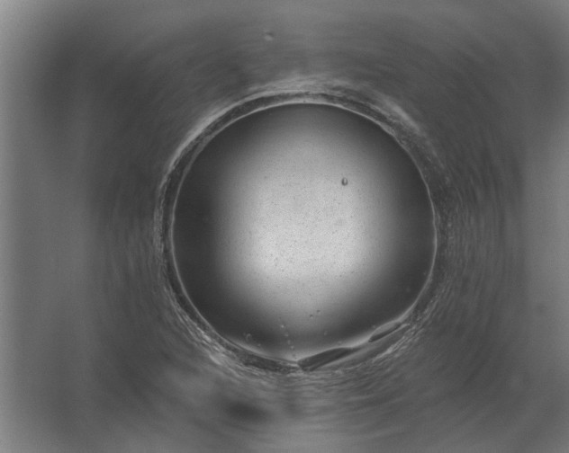 X0000062791216200512290214