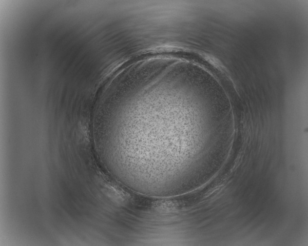 X0000062791217200512290214