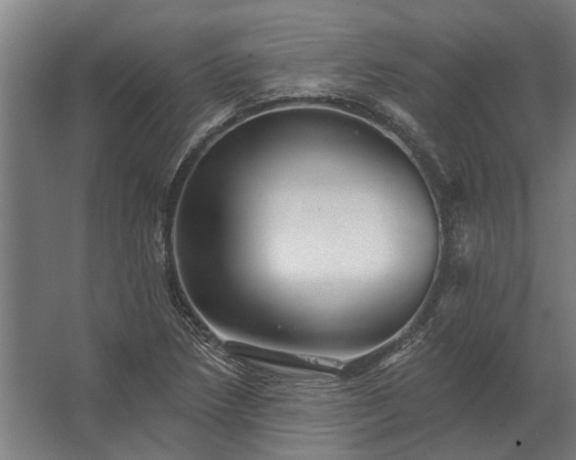 X0000062791218200512290214