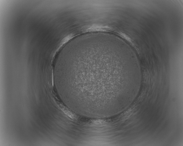 X0000062791219200512290214