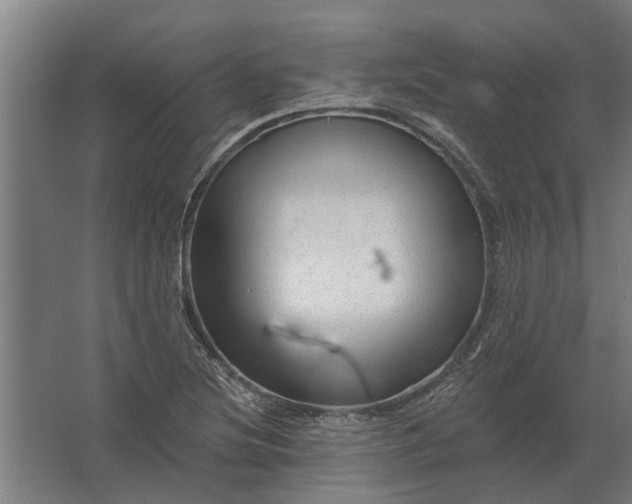 X0000062791220200512290214