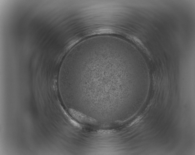 X0000062791225200512290214