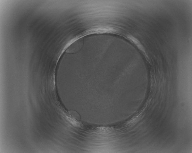 X0000062791226200512290214