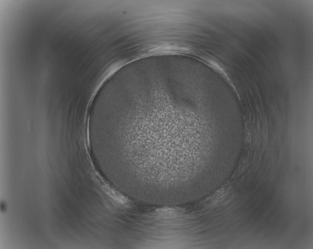 X0000062791227200512290214