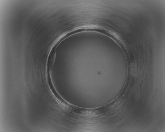 X0000062791229200512290214