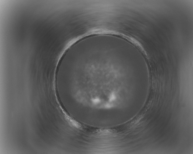 X0000062791231200512290214