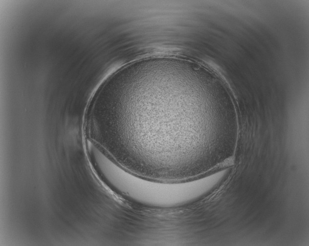 X0000062791235200512290214