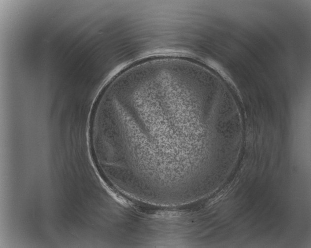 X0000062791237200512290214