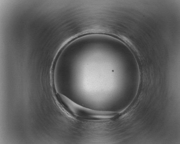 X0000062791238200512290214