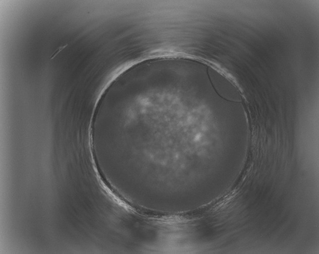 X0000062791239200512290214