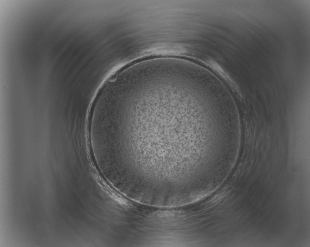 X0000062791240200512290214