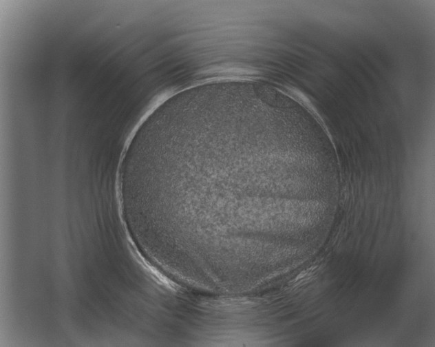 X0000062791243200512290214